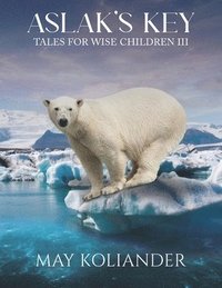 bokomslag Aslak's Key: Tales for Wise Children III
