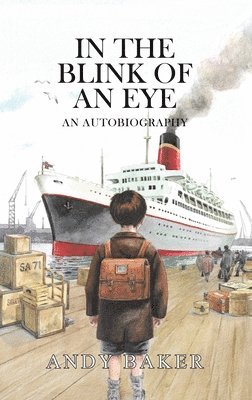 Andy Baker - In the Blink of an Eye, Inbunden
