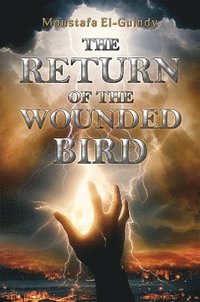 bokomslag Return of the Wounded Bird