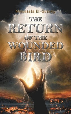 Return of the Wounded Bird