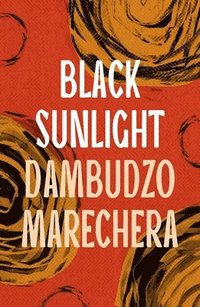 bokomslag Black Sunlight