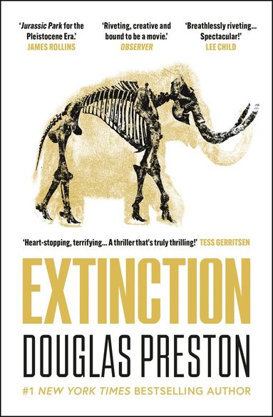 bokomslag Extinction