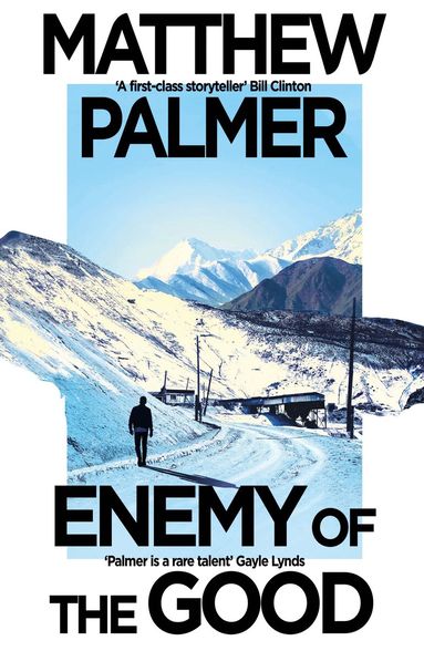 Matthew Palmer - Enemy of the Good, Häftad