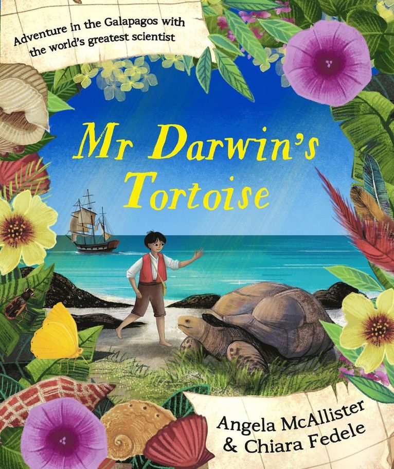 Angela McAllister, Angela Mcallister - Mr Darwin's Tortoise, Inbunden