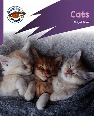 Abigail Steel - Reading Planet: Rocket Phonics - First Steps - Cats (Lilac Plus), Häftad