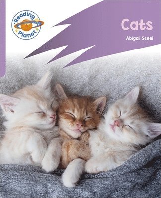 Abigail Steel - Reading Planet: Rocket Phonics - First Steps - Cats (Lilac Plus), Häftad
