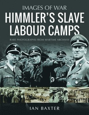 bokomslag Himmler's Slave Labour Camps