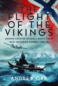 bokomslag Flight of the Vikings