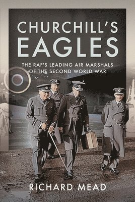 bokomslag Churchill's Eagles