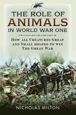 Role of Animals in World War One
