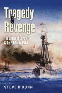 bokomslag Tragedy and Revenge