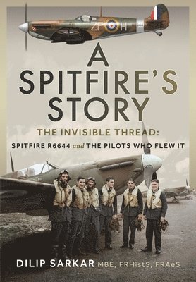 bokomslag Spitfire's Story
