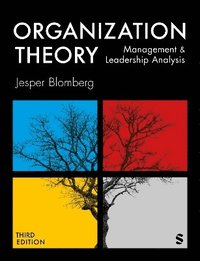 bokomslag Organization Theory