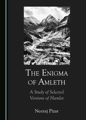 bokomslag Enigma of Amleth