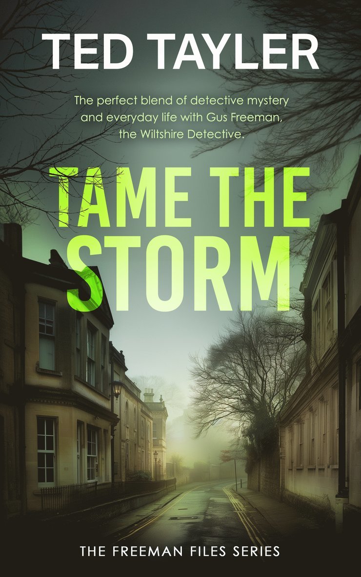 Ted Tayler - Tame The Storm, Häftad