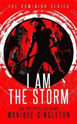 bokomslag I Am The Storm