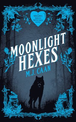 bokomslag Moonlight Hexes