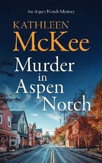 bokomslag Murder in Aspen Notch