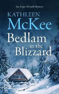 bokomslag Bedlam in the Blizzard