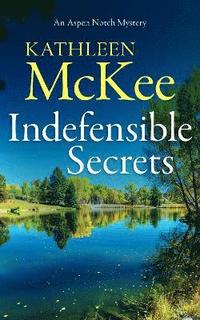 bokomslag Indefensible Secrets