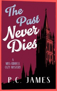 bokomslag Past Never Dies