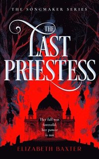 bokomslag Last Priestess