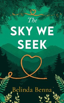 bokomslag The Sky We Seek