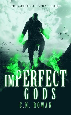 bokomslag imPerfect Gods