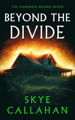bokomslag Beyond the Divide
