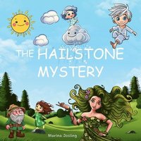 bokomslag The Hailstone Mystery