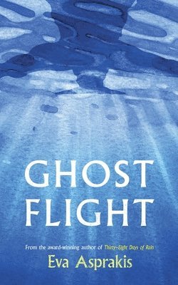 bokomslag Ghost Flight