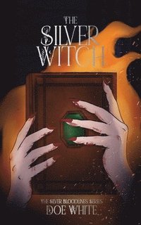 bokomslag Silver Witch