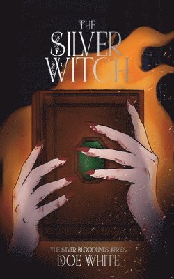 bokomslag Silver Witch
