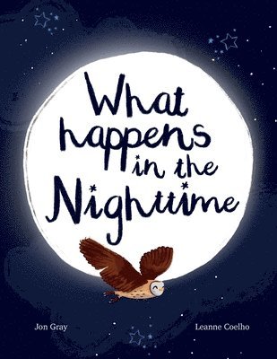 What Happens In The Nighttime
