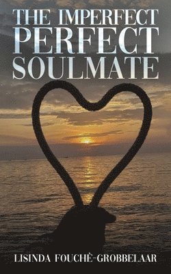 bokomslag Imperfect Perfect Soulmate