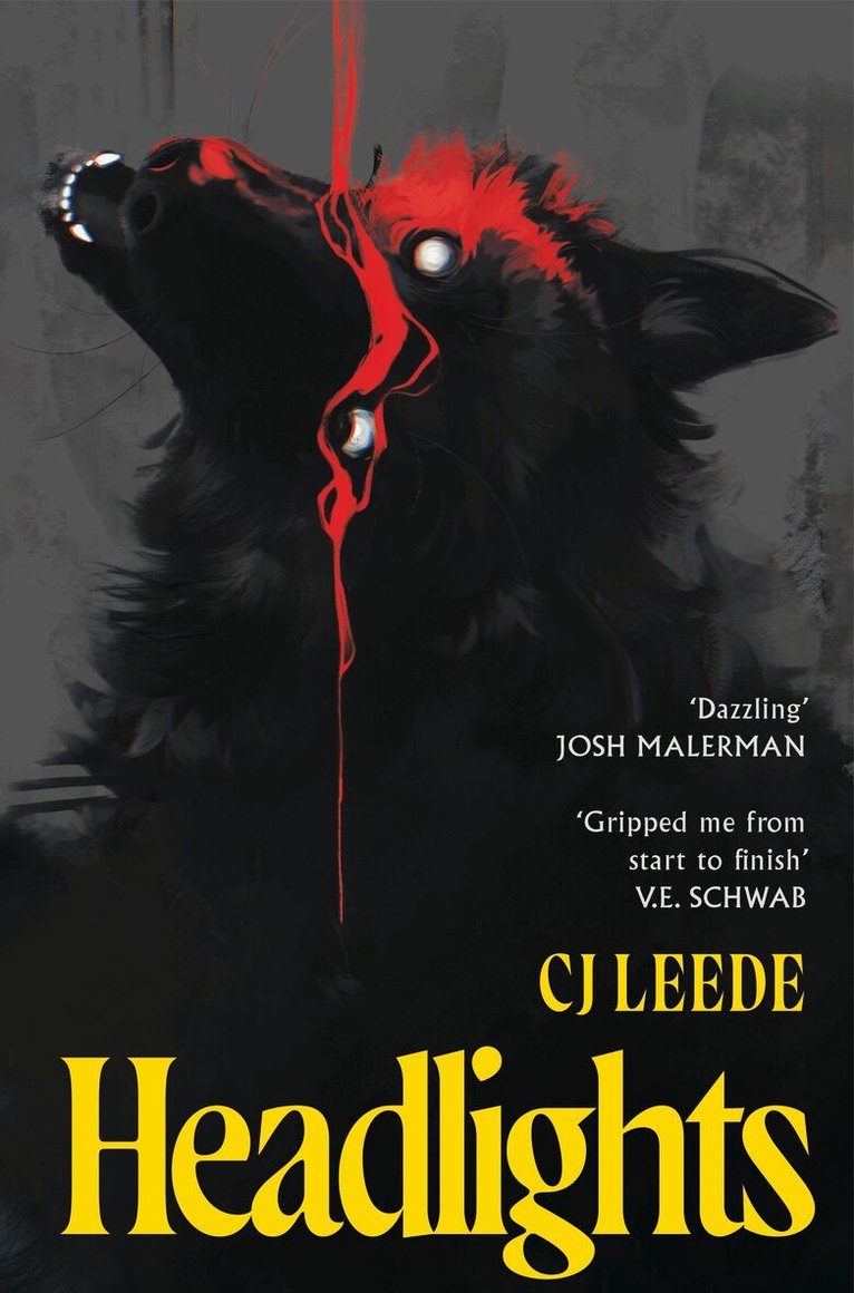 CJ Leede - Headlights, Häftad. Tillgänglighet: Kommande