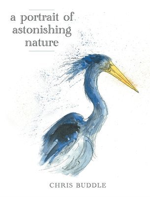 bokomslag Portrait of Astonishing Nature