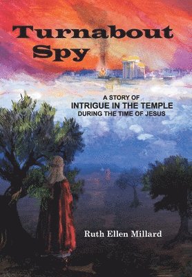 bokomslag Turnabout Spy: A Story of Intrigue in the Temple During the Time of Jesus