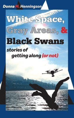 White Space, Gray Areas & Black Swans 1