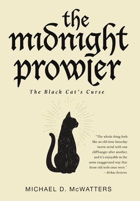 bokomslag Midnight Prowler