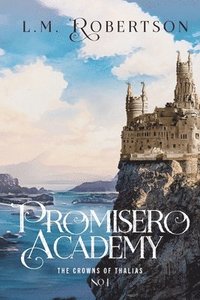 bokomslag Promisero Academy