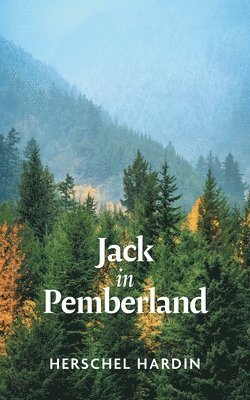 bokomslag Jack in Pemberland