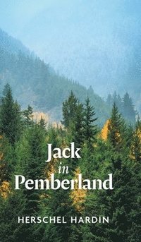 bokomslag Jack in Pemberland