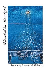 bokomslag Bleached by Moonlight