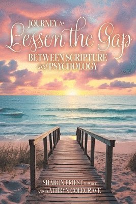 bokomslag Journey to Lessen the Gap