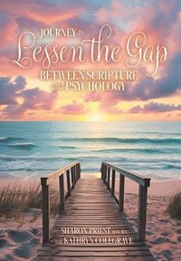 bokomslag Journey to Lessen the Gap