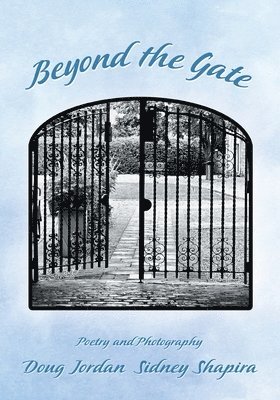 Beyond the Gate 1