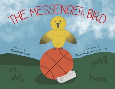 bokomslag Messenger Bird