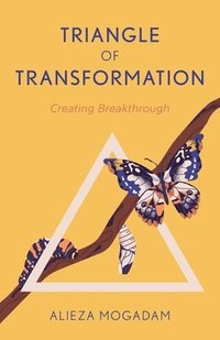 bokomslag Triangle of Transformation