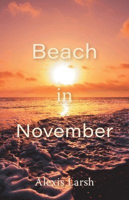 Beach in November 1